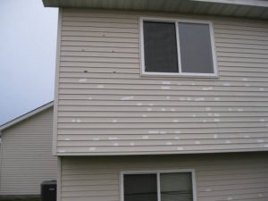 Damaged Vinyl Siding